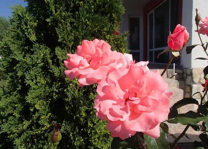 Grand Noks Apartment *