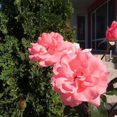 Grand Noks Apartment *