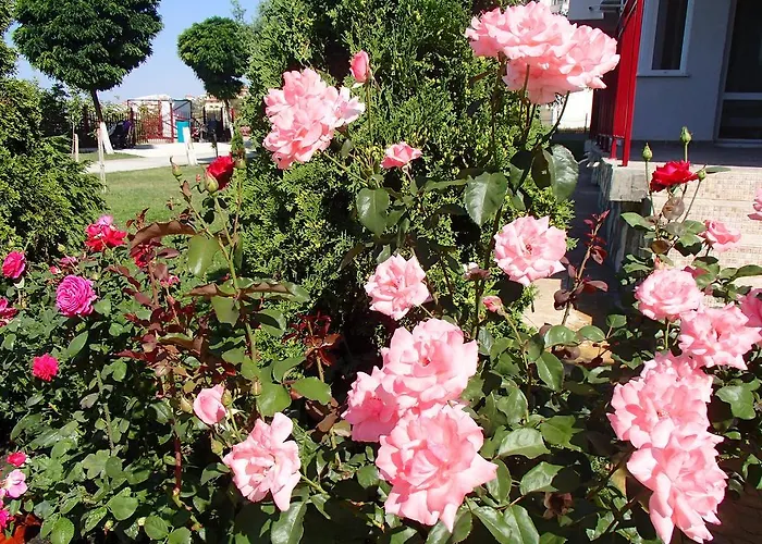 Grand Noks Appartamento Sveti Vlas